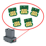 T04d100