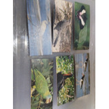 6 Cards Litoral E Ilhas Oceânicas Surpresa Nestlé Usados 