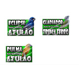 Pássaro