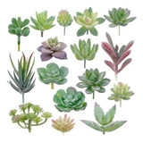 Planta