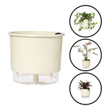 6 Vasos Autoirrigável Reciclado Médio Calcário +suporte Anel
