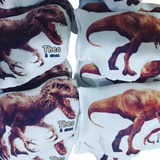 6 Almofadas Personalizadas Lembrancinha Dinossauro Dino
