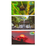6 Cartões Postais Tuiuti São Paulo Paisagens
