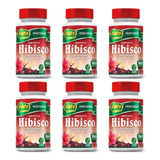 6 Hibisco C Gengibre picolinato De Cromo 90 Cáps Unilife