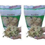 Sphagnum