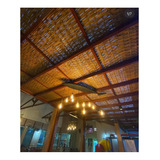 Bambu