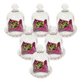 6 Mini Boleiras Porta Cupcake Doce Cúpula Redoma Vidro Festa