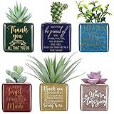 6 Peças De Presentes De Agradecimento Para Mulheres Vasos De Suculentas Professores Funcionários De Enfermeira Voluntário Presentes De Apreciação De Flores Vasos De Cerâmica Com Orifícios De Drenagem Placa De Rachadura De Gelo Plantadores De Suculentas Plantas Não Incluídas