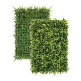 6 Placa De Grama Samambaia Mini 40x60 Artificial Muro Inglês
