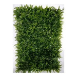 6 Placas De Mini Samambaia 40x60 Artificial Muro Inglês