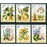 6 Selos De Flora Flores Silvestres Polônia L 3956