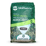 60.000 Sementes Milho Verde Híb. Biomatrix 3066 Vt Pro3 -
