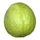 Tailandesa