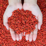 60 Sementes De Goji