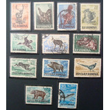 6152 Romênia - Fauna Silvestre Série Completa Yvert 1438/49