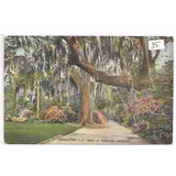 6516 Postal Antigo U. S. A. Charleston Não Circulado
