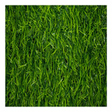 6m² Grama Sintética Jardim 30mm Cross Training 2mx3m
