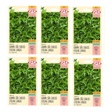 6x Sementes Grama São Carlos folha Larga Isla