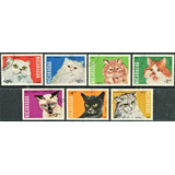 7 Selos Da Nicarágua Gatos Fauna Animais Domésticos - L.3257