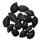 7 Fava Exú Semente Assentamento Umbanda Candomblé Promoção