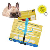 7 Microchip Nano Seringado 1 4x8mm Animal Medalha Qr Code