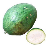 Brinde
