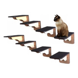 Gatos