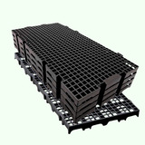 25x50