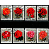8 Selos Manama Bahrein Flora Flores Rosas Frete Light L 3802