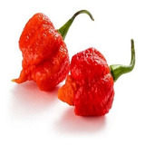 Reaper