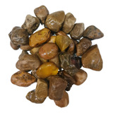 9 5kg Pedras Para Jardim Seixo Marrom Jardim Aquarios Lago