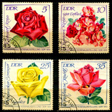 9 Selos BuLGária Ddr- Flora Flores Rosas Frete Light- L.3805