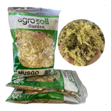 Sphagnum