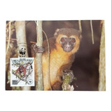 Wwf