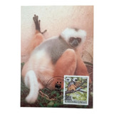 9923 Madagascar Lêmure Fauna Máximo Postal Novo Wwf