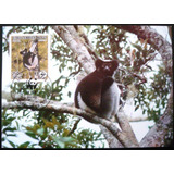Wwf