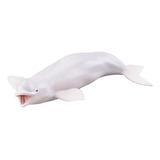 Whale