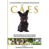 Português,