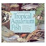 A Practical Guide To Tropical Aquarium