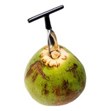 Abridor E Furador De Coco Em Aço Inox Praticidade Eficiência Cor Prata