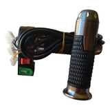 Acelerador Elétrico Scooter/citycoco Buzina/variador/velocid