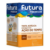 Acrílica Emborrachada Ação Do Tempo Futura