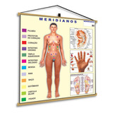 Medicina