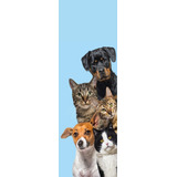 Adesivo Decorativo De Porta Cachorros Pet