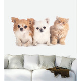 Adesivo Decorativo Parede Pet Shop Cachorro