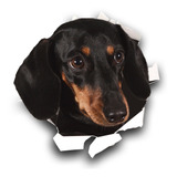 Adesivo Externo De Racas De Cachorro Para Decorar