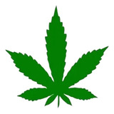 Adesivo Folha Maconh Cannabis Marijuana