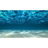 Adesivo Parede Decoração Aquário Fundo Mar Oceano Peixes Cor Colorido