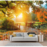 Adesivo Parede Papel Paisagem Por Sol Natureza Outono 10 M²