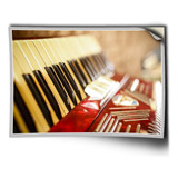 adesivo sanfona acordeon colante 42x30cm